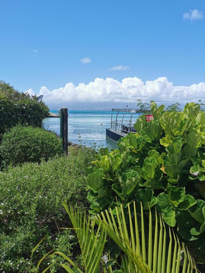 La Creole T3 Lumineux A 1Mn De La Plage Ле Госие Екстериор снимка